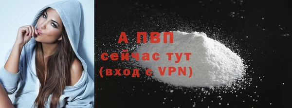 a pvp Алзамай